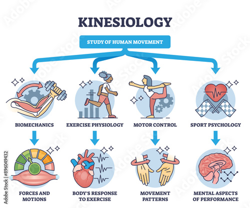 Kinesiology as study of human movement and motion activity outline diagram, transparent background. Labeled educational scheme with medical division for biomechanics, exercise physiology.