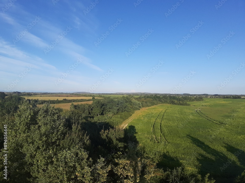 Obraz premium landscape with trees