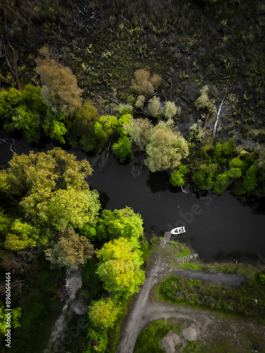 Aerial view of serene river Obra with lone boat amidst lush forest and verdant trees, Przyprostynia, Greater Poland Voivodeship, Poland. photo