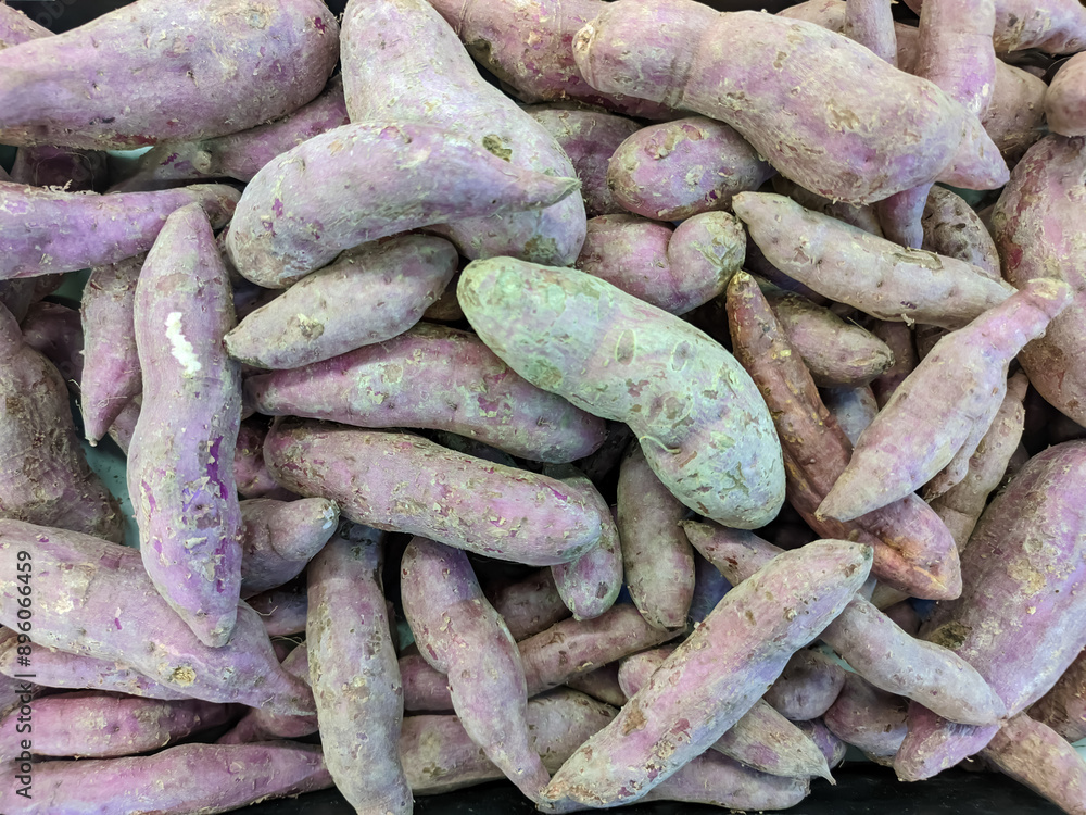 A heap of sweet potatoes displays a stunning array of shapes and colors, from vibrant brown to soft purple. A heap of sweet potatoes displays a stunning array of shapes and colors, from vibrant brown to soft purple.