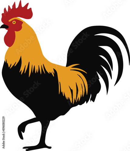 rooster vector illustration on white background