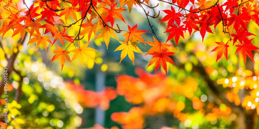 Golden red maple autumn leaves close-up on a blurred background, capturing the essence of fall. Ideal for seasonal promotions, nature themes, or tranquil designs. Golden red maple autumn leaves close-up on a blurred background, capturing the essence of fall. Ideal for seasonal promotions, nature themes, or tranquil designs.