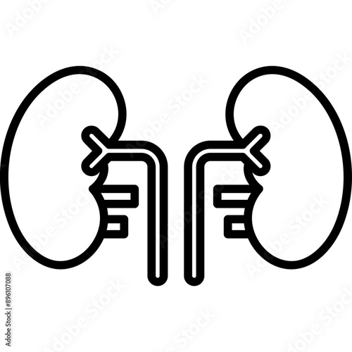 Kidneys Icon