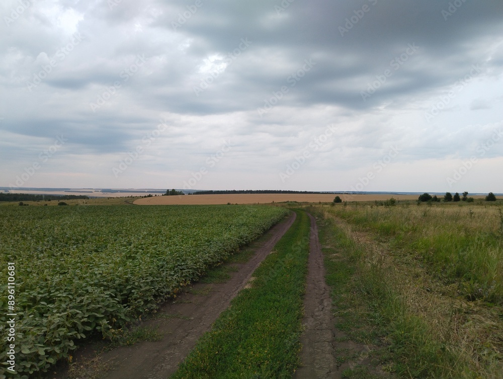 Rural Dirt Road Through Fields on Cloudy Day Rural Dirt Road Through Fields on Cloudy Day