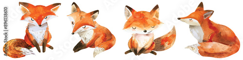 Set collection of cute red fox hand drawn watercolor design resources elements