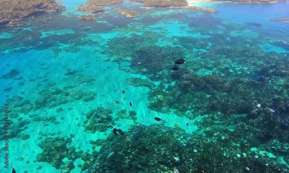 Aerial view of a vibrant coral reef with clear water. 4K Video hyperrealistic Aerial view of a vibrant coral reef with clear water. 4K Video hyperrealistic