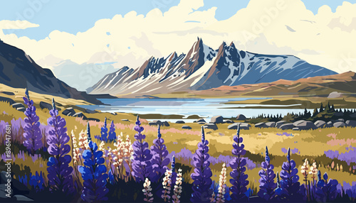 Beautiful landscape of blooming lupine flowers Iceland 2