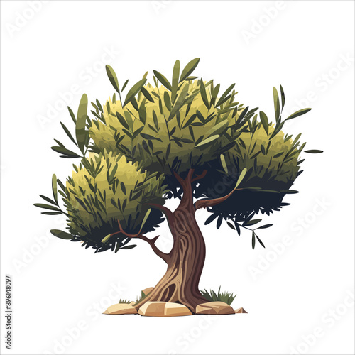 Olive tree vector illustration isolated on white background. Hand-drawn olive tree icon.
