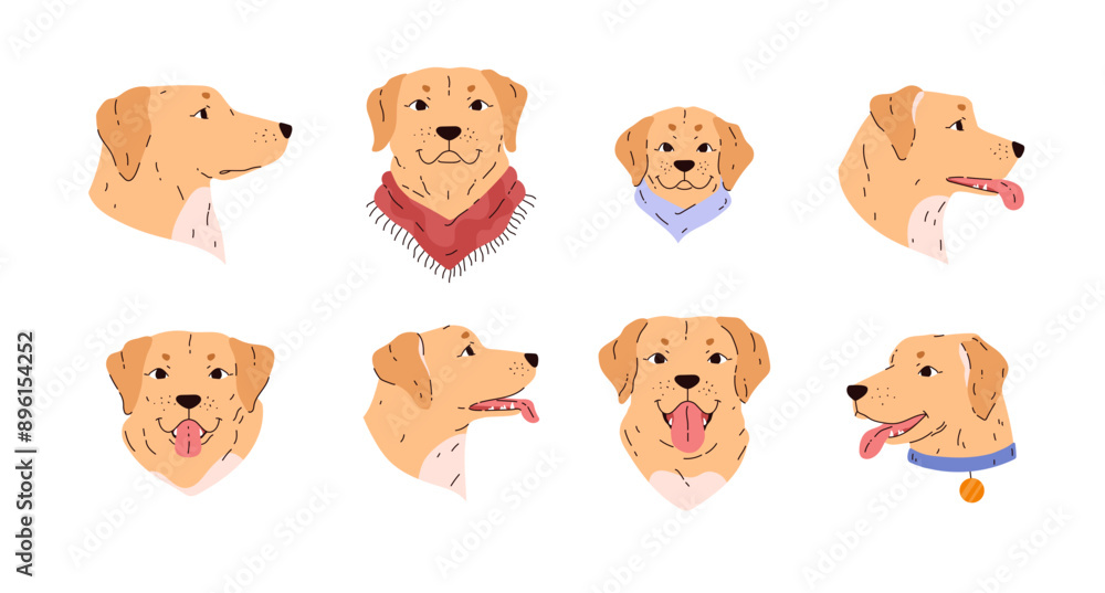Set of golden labrador dog portraits flat style, vector illustration Set of golden labrador dog portraits flat style, vector illustration