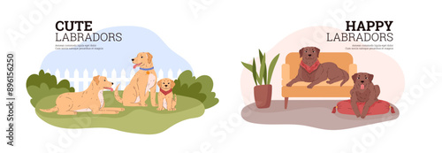 Labrador retriever breed dogs on the lawn and in the room vector illustrations set, cute friendly beige or brown pet