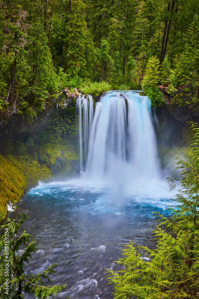 Fototapeta premium Koosah Falls Cascading into Blue Pool in Lush Forest Eye-Level Perspective