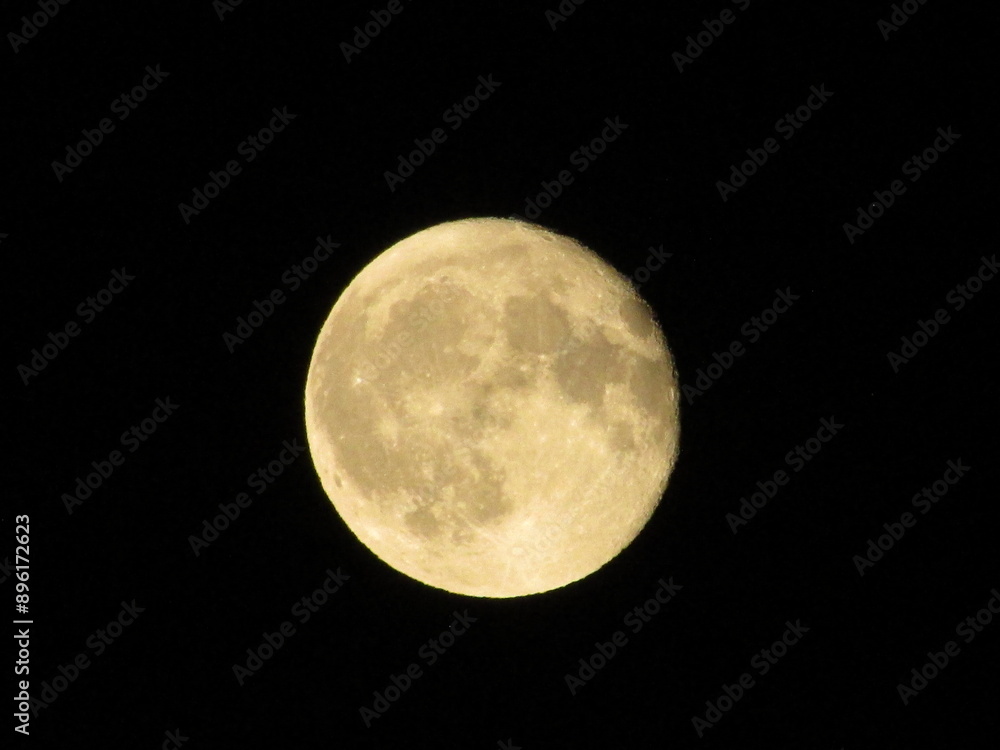 Naklejka premium Moon