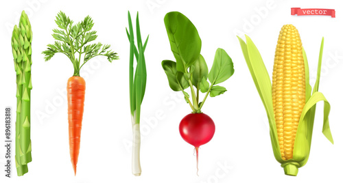 Vegetables, asparagus, carrot, radish, onion, corn, 3d realistic vector set