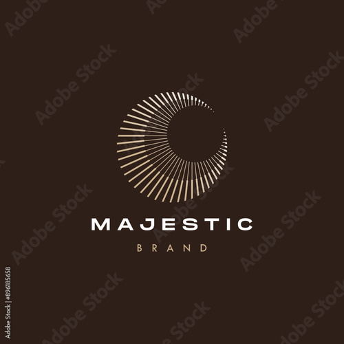 elegant abstract sun and crescent moon design line icon vector in luxury style outline linear