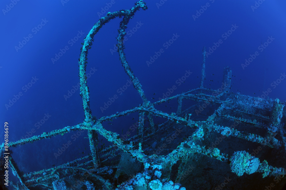 custom made wallpaper toronto digitalwreck - shipwreck) in scuba divers' slang - a type of dive in which a descent is made to sunken ships or objects. Often such a dive involves penetration into the overhead environment (cabins, holds of