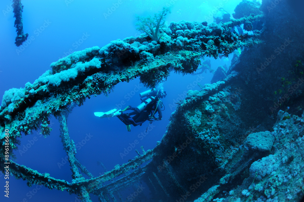 custom made wallpaper toronto digitalwreck - shipwreck) in scuba divers' slang - a type of dive in which a descent is made to sunken ships or objects. Often such a dive involves penetration into the overhead environment (cabins, holds of