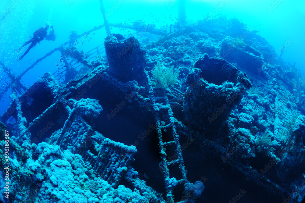 custom made wallpaper toronto digitalwreck - shipwreck) in scuba divers' slang - a type of dive in which a descent is made to sunken ships or objects. Often such a dive involves penetration into the overhead environment (cabins, holds of