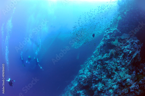 Wallpaper Mural wreck - shipwreck) in scuba divers' slang - a type of dive in which a descent is made to sunken ships or objects. Often such a dive involves penetration into the overhead environment (cabins, holds of Torontodigital.ca