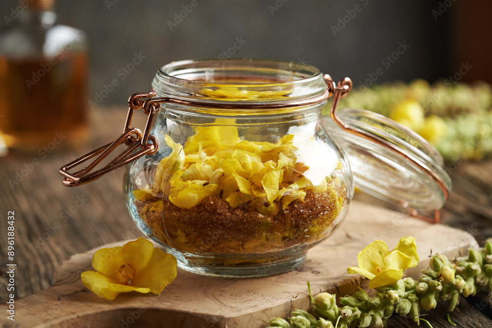Preparation of sweet herbal syrup from fresh mullein or Verbascum flowers and sugar in a glass jar Preparation of sweet herbal syrup from fresh mullein or Verbascum flowers and sugar in a glass jar