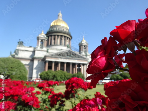 Historisches Gebäude, Rosen, St. Petersburg  photo