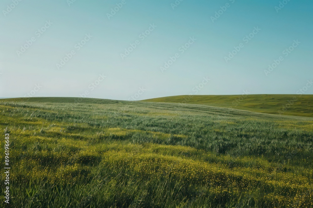 field and blue sky field and blue sky