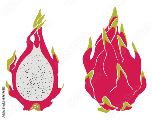 Set of half and whole dragon fruits. Vector illustration.