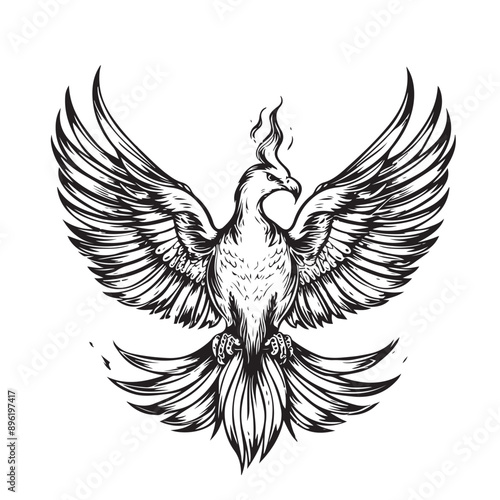 Abstract Phoenix Outline Bird Curve Portrait. One Line Drawn Phoenix Fantasy Bird Sketch Silhouette Logo. Line Drawn Editable Magic Mascot Bird Portrait isolated on White Background