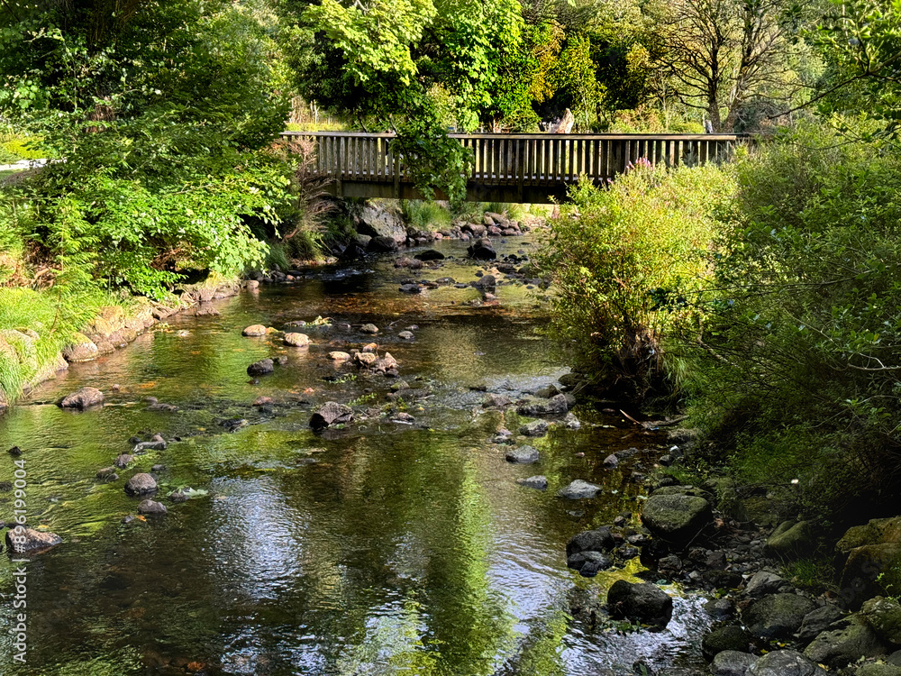 River in Glendalough, Wicklow, Ireland River in Glendalough, Wicklow, Ireland