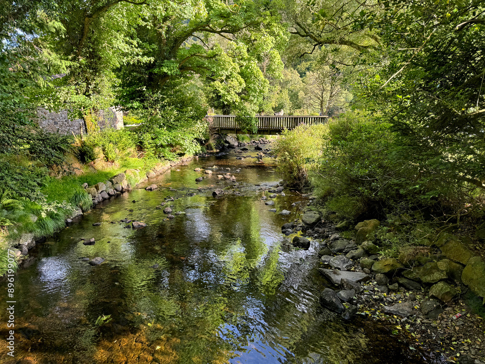 River in Glendalough, Wicklow, Ireland