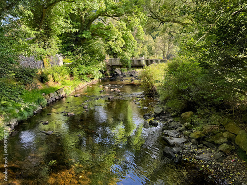 River in Glendalough, Wicklow, Ireland