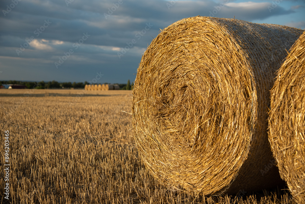 Haystacks on the field, on the sunset Haystacks on the field, on the sunset