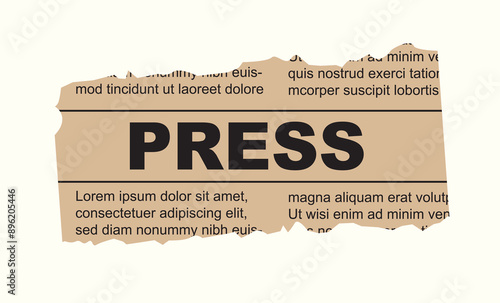 Press inscription on a scrap of old newspaper. Isolated on white background. Vector illustration. Front view. Close up