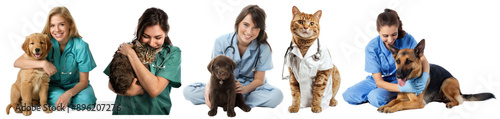 Veterinary clinic png cut out element set photo