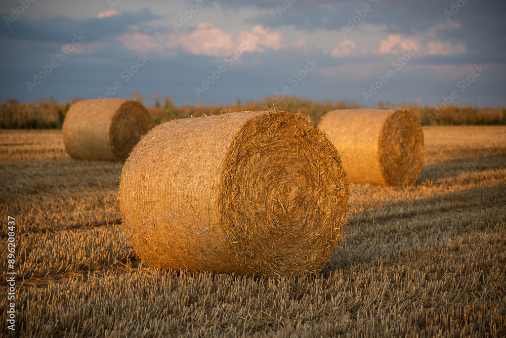 Haystacks on the field, on the sunset Haystacks on the field, on the sunset