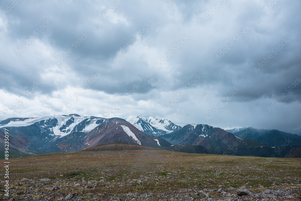 Fototapeta premium Dramatic view from stony pass with mosses, grasses and flowers to large mountain range with snow-capped pinnacle in gray cloudy sky. Atmospheric silhouettes of big snowy mountains in rainy weather.
