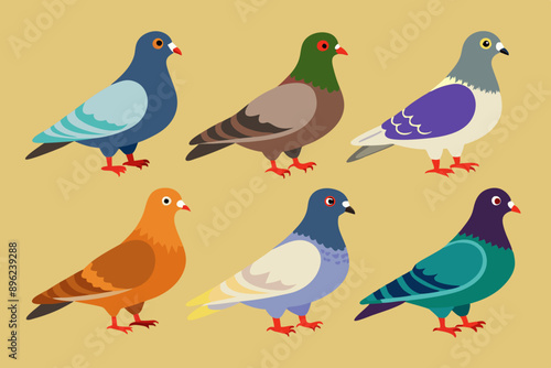  A set of bunches of beautiful pigeons vector art illustration