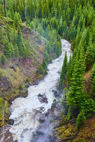 Aerial Fly Over Tumalo Falls Rapids in Lush Deschutes National Forest photo