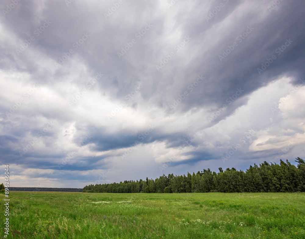 A field of grass with a cloudy sky in the background A field of grass with a cloudy sky in the background