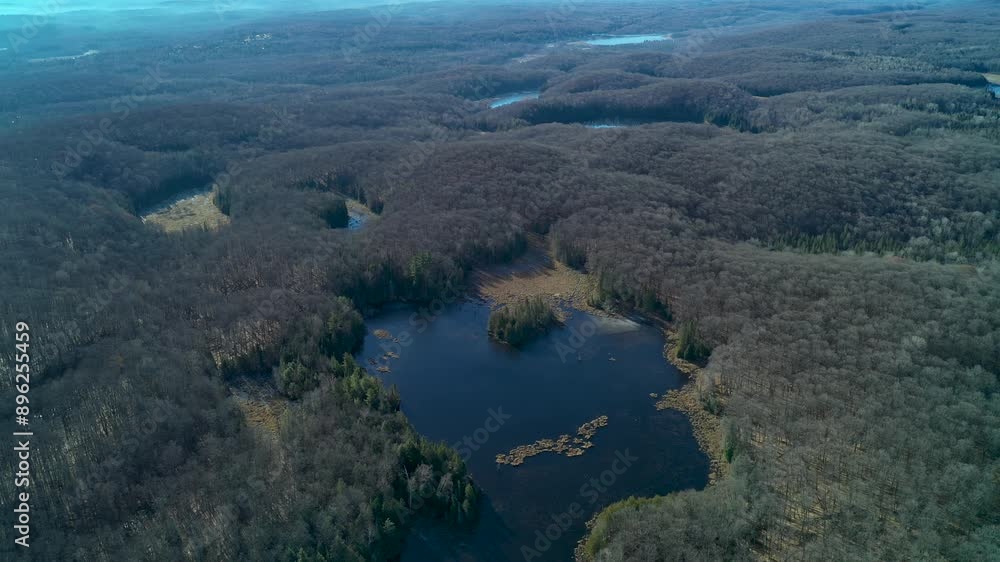 Aerial view flying towards a large pond and forest on a sunny day in the fall Aerial view flying towards a large pond and forest on a sunny day in the fall