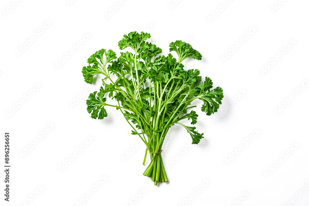 Fototapeta premium Fresh Parsley Sprigs on White Background