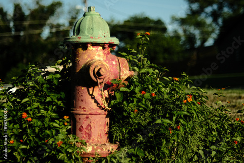 fire hydrant surrounded by wildflowers
