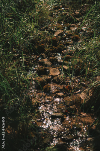 a fresh water spring trickling over rocks