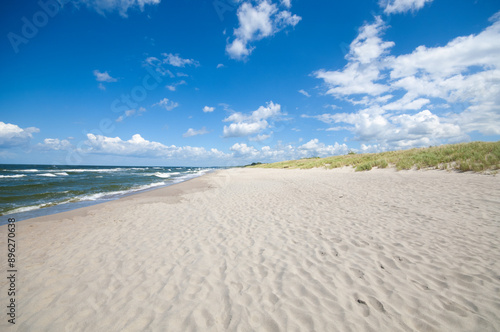 Canvas Print Sand dunes landscape at the Baltic sea