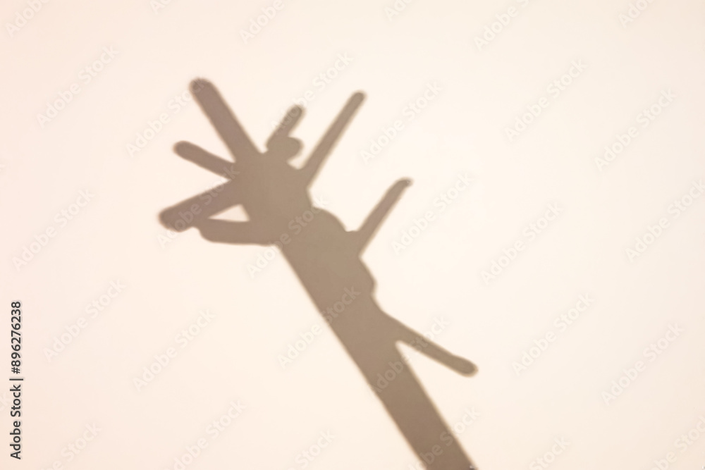 Abstract Shadow of a Coat Rack on a White Wall Abstract Shadow of a Coat Rack on a White Wall
