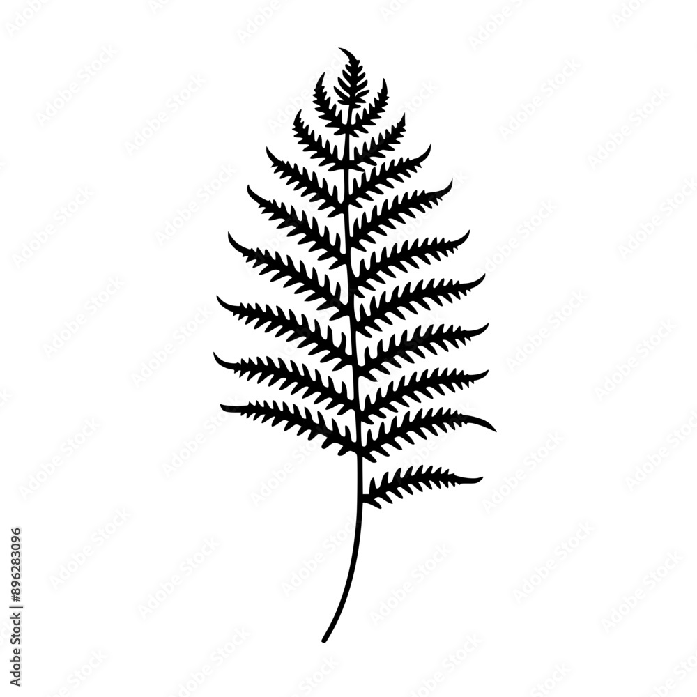 Naklejka premium Fern Leaf Vector