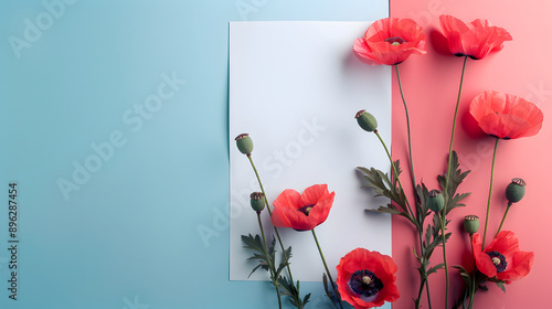 Blank paper with background illustration