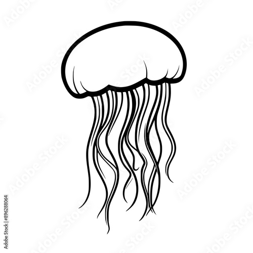 Jellyfish Vector
