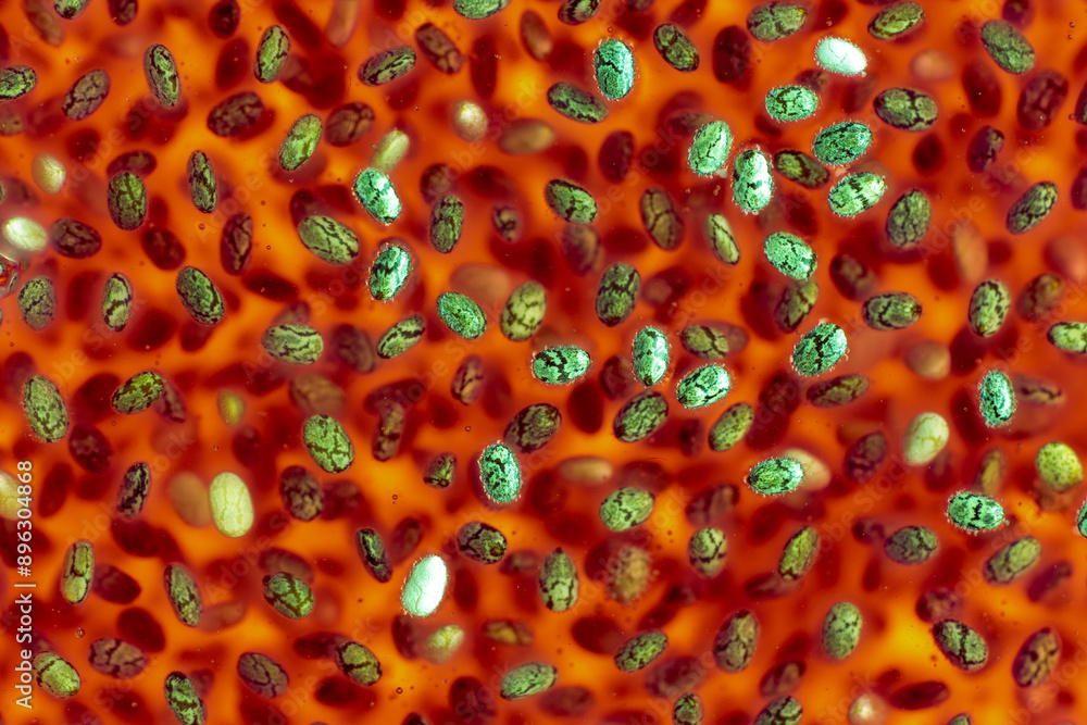 Numerous chia seeds hydrated in a red liquid environment scattered in a disorganized way. abstract background. Numerous chia seeds hydrated in a red liquid environment scattered in a disorganized way. abstract background.