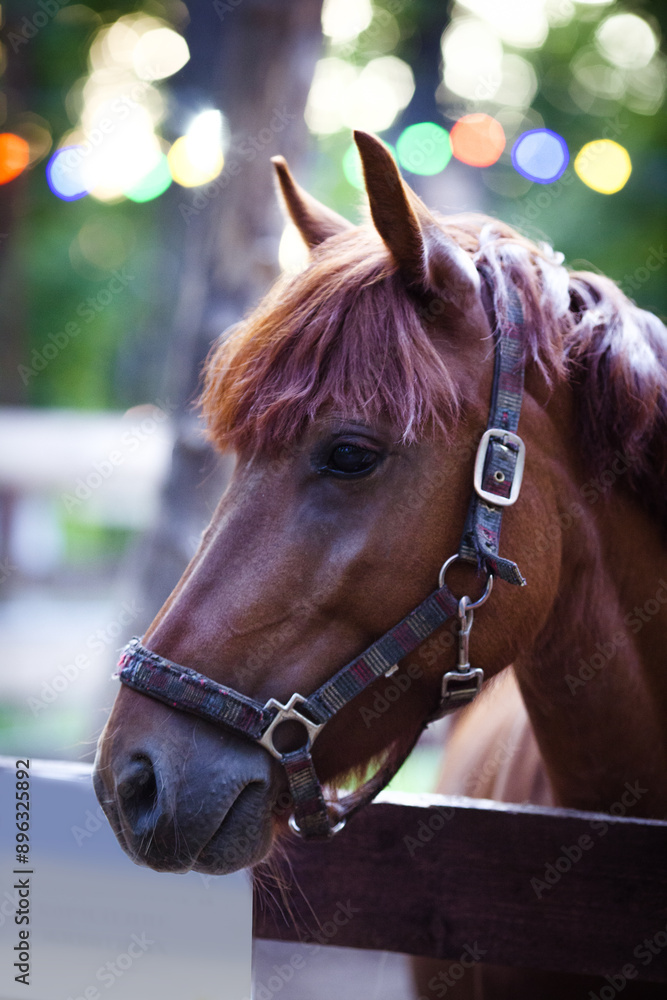 Obraz premium The muzzle of a brown horse against a bokeh background with a garland in the park. Close-up portrait.