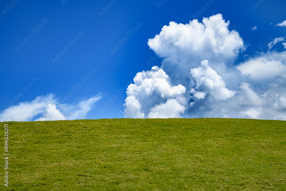 Green grass field. Grassy meadow background. Green grassy field. Grassy pasture landscape background. Wide green grass field. Grassland for background. Nature landscape background. Green grass field. Grassy meadow background. Green grassy field. Grassy pasture landscape background. Wide green grass field. Grassland for background. Nature landscape background.